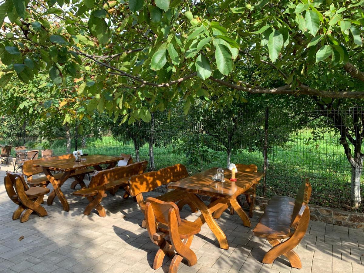 Hanu Lui Gica Spa Satu Mare Exteriér fotografie