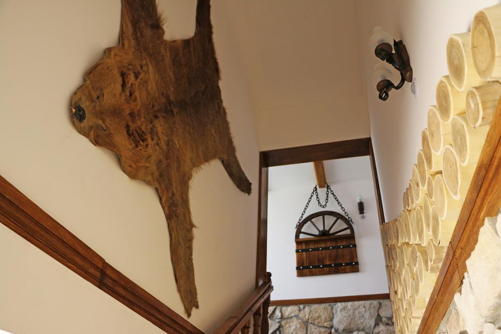 Hanu Lui Gica Spa Satu Mare Exteriér fotografie