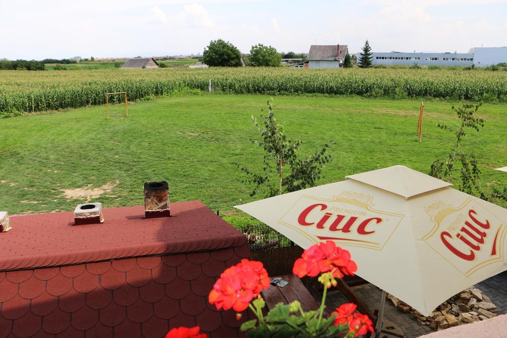 Hanu Lui Gica Spa Satu Mare Exteriér fotografie